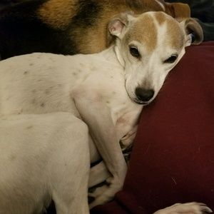 Meet your Posher, Caleb